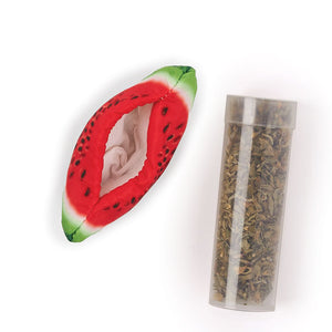 Kazoo Watermelon Wedge Cat Toy - RSPCA VIC