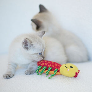 Kazoo Crinkle Ladybug Cat Toy - RSPCA VIC