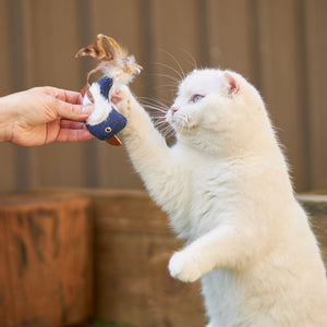 Kazoo Chirpy Bird Cat Toy - RSPCA VIC