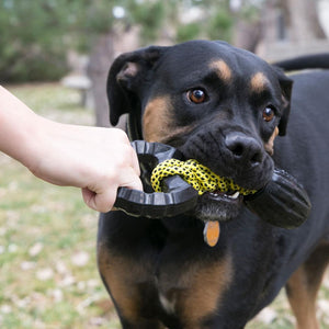 KONG Jaxx Braided Tug Tough Dog Toy - RSPCA VIC