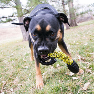 KONG Jaxx Braided Tug Tough Dog Toy - RSPCA VIC