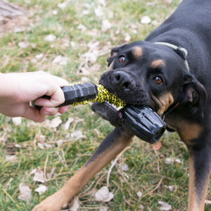 KONG Jaxx Braided Tug Tough Dog Toy - RSPCA VIC