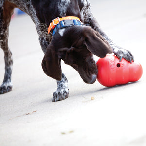 KONG Wobbler - RSPCA VIC