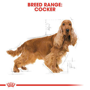 Royal Canin Cocker Spaniel Adult - RSPCA VIC