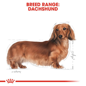 Royal Canin Dachshund Adult - RSPCA VIC