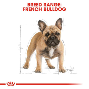 Royal Canin French Bulldog Adult - RSPCA VIC