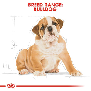 Royal Canin Bulldog Puppy 12kg - RSPCA VIC