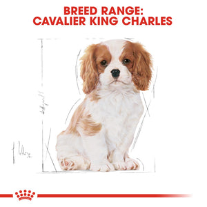 Royal Canin Cavalier King Charles Puppy 1.5kg - RSPCA VIC