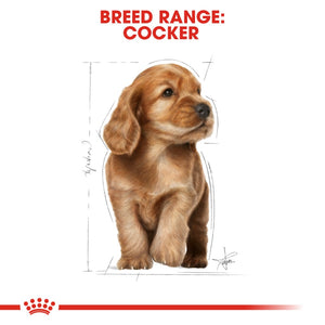 Royal Canin Cocker Spaniel Puppy 3kg - RSPCA VIC