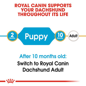 Royal Canin Dachshund Puppy 1.5kg - RSPCA VIC