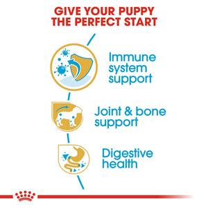 Royal Canin Dachshund Puppy 1.5kg - RSPCA VIC