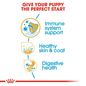 Royal Canin Golden Retriever Puppy 12kg - RSPCA VIC