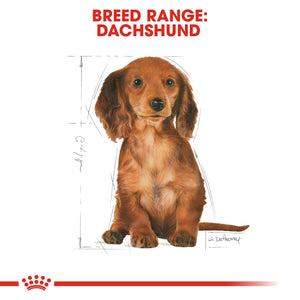 Royal Canin Dachshund Puppy 1.5kg - RSPCA VIC