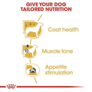 Royal Canin Poodle Pouches - RSPCA VIC