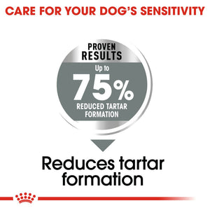 Royal Canin Maxi Dental Care 9kg - RSPCA VIC