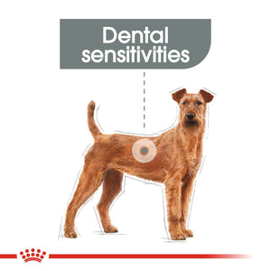 Royal Canin Medium Dental Care - RSPCA VIC