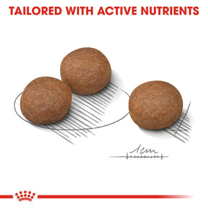 Royal Canin Medium Digestive Care - RSPCA VIC