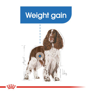 Royal Canin Medium Light Weight Care - RSPCA VIC