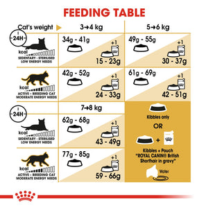Royal Canin British Shorthair - RSPCA VIC