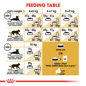 Royal Canin Maine Coon - RSPCA VIC