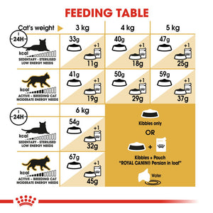 Royal Canin Persian - RSPCA VIC