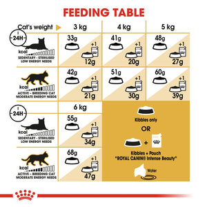 Royal Canin Siamese - RSPCA VIC