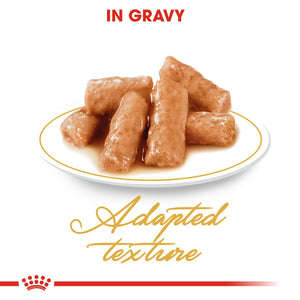 Royal Canin British Shorthair Gravy Pouches - RSPCA VIC