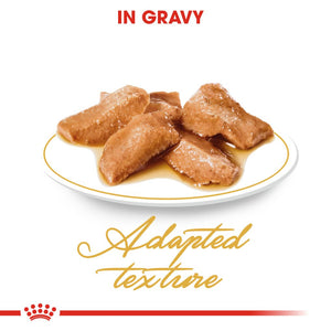 Royal Canin Maine Coon Gravy Pouches - RSPCA VIC