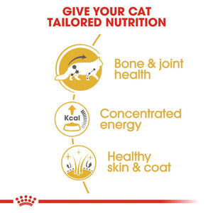 Royal Canin Maine Coon Gravy Pouches - RSPCA VIC