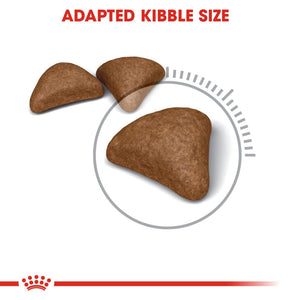 Royal Canin Hairball Care - RSPCA VIC