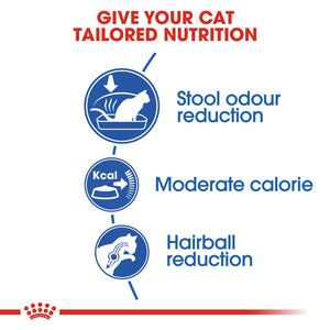 Royal Canin Indoor Adult Cat - RSPCA VIC