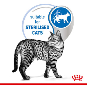 Royal Canin Indoor Jelly Pouches - RSPCA VIC
