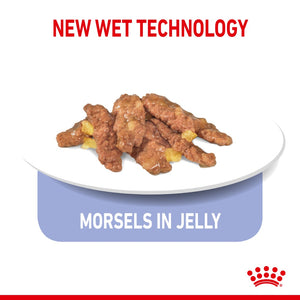 Royal Canin Indoor Jelly Pouches - RSPCA VIC