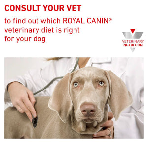 Royal Canin Veterinary Diet Urinary S/O for Dogs - RSPCA VIC