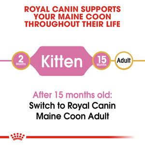 Royal Canin Maine Coon Kitten - RSPCA VIC