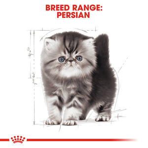 Royal Canin Kitten Persian - RSPCA VIC