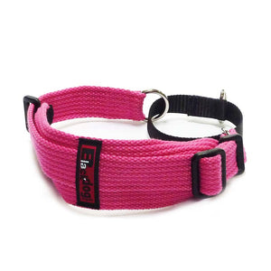 Black Dog Wear Sighhound Collar - RSPCA VIC