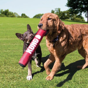 KONG Signature Stick - Safe Fetch Toy with Rattle & Squeak Dog Toy - RSPCA VIC