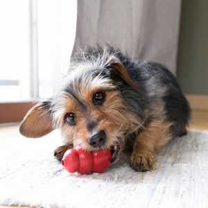 KONG Classic Red - RSPCA VIC