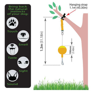 aussie dog home alone extra large - rspca vic