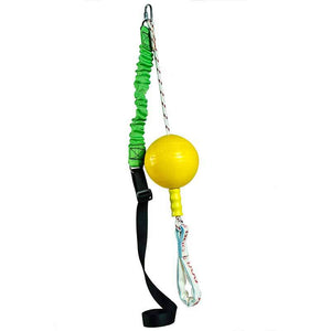 aussie dog home alone medium - rspca vic