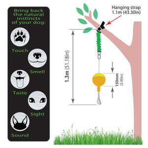 aussie dog home alone medium - rspca vic