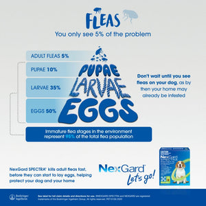 Nexgard Spectra Chews for Dog 7.6-15kg Green - RSPCA VIC