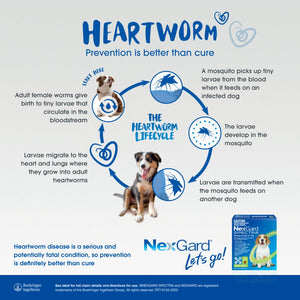 Nexgard Spectra Chews for Dog 7.6-15kg Green - RSPCA VIC