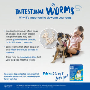 Nexgard Spectra Chews for Dog 7.6-15kg Green - RSPCA VIC