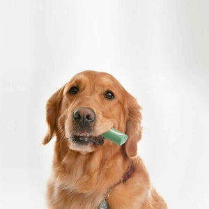 OraVet Dental Hygiene Chew for X-Small Dogs, Dental Treats for Dogs, 28 Counts/Days - RSPCA VIC