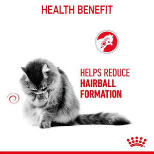 Royal Canin Feline Hairball Care Jelly Pouches Box