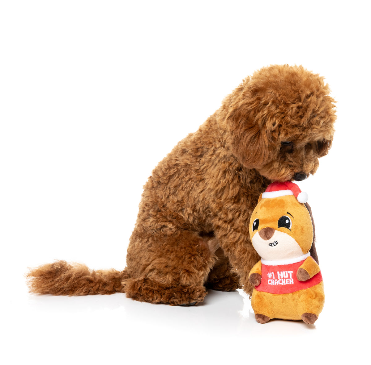 FuzzYard Dog Toy - #1 Nutcracker