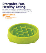Outward Hound Kitty Fun Feeder - Green