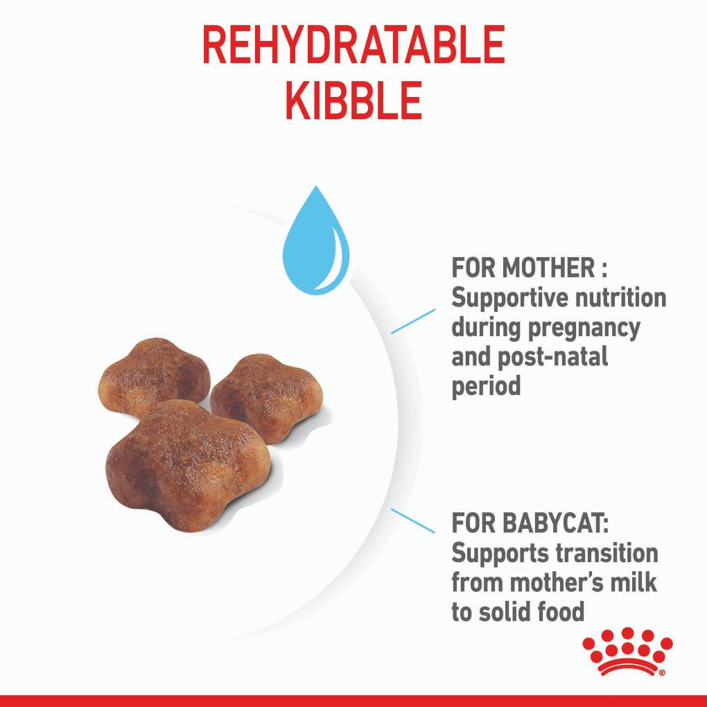 Royal Canin Feline Mother & Babycat